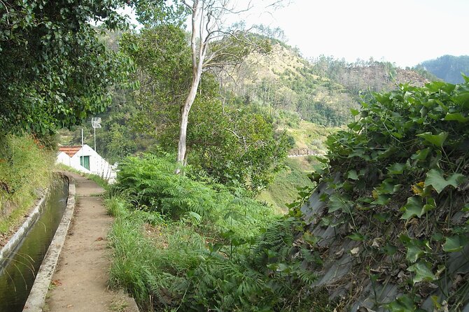 Madeira: Levada Referta - Castelejo Guided Walk - Pacing and group dynamics: how to avoid the rushed feeling