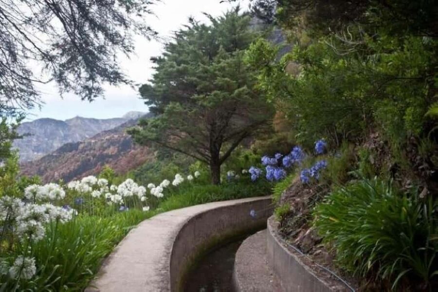Madeira: Levada Referta – Castelejo Guided Walk - Should you book this guided Levada Referta to Castelejo walk?
