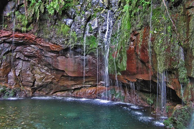 Madeira Levada Walk - Rabacal Lakes and Fountains - Key highlights worth planning for