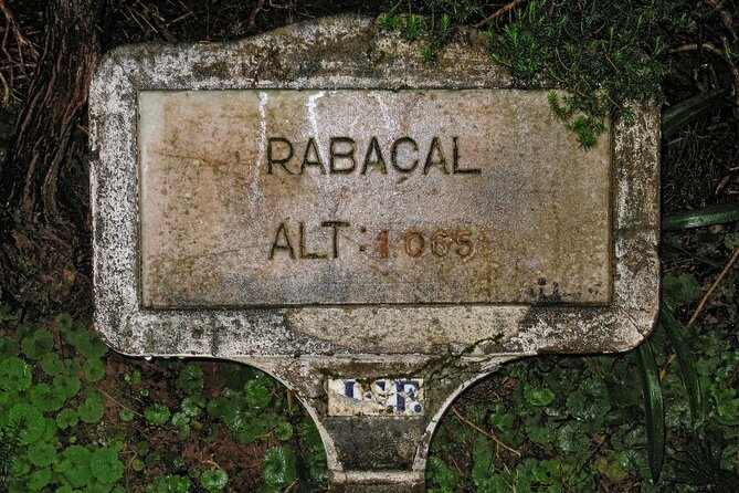 Madeira Levada Walk - Rabacal Lakes and Fountains - Pace, stairs, and narrow paths: what moderate fitness really means here