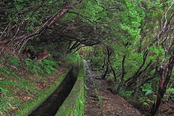 Madeira Levada Walk - Rabacal Lakes and Fountains - Price and value: what $52.86 buys you on a long Madeira day