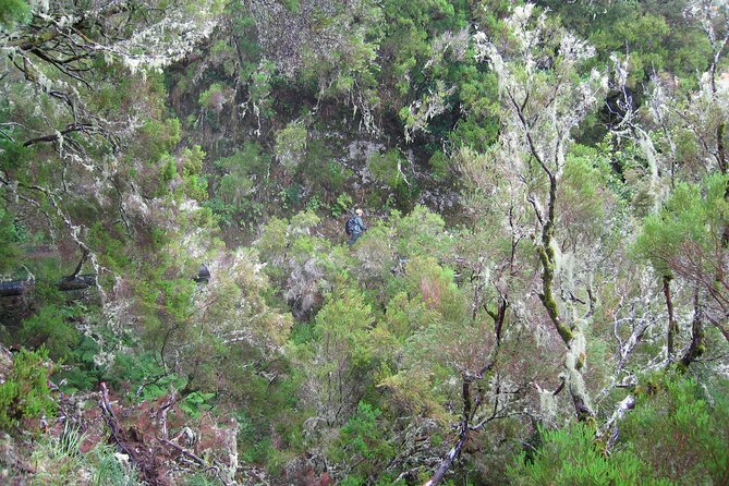 Madeira Levada Walk - Rabacal Lakes and Fountains - 25 fountains and Cascada da Risco: the star sights and the crowd reality