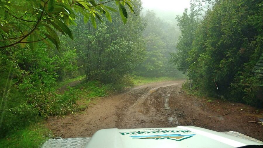 Madeira: Mini-Combo East Challenge: Jeep Safari + Levada - Levada Walking With No Big Fuss: The Easy 30-Minute Part