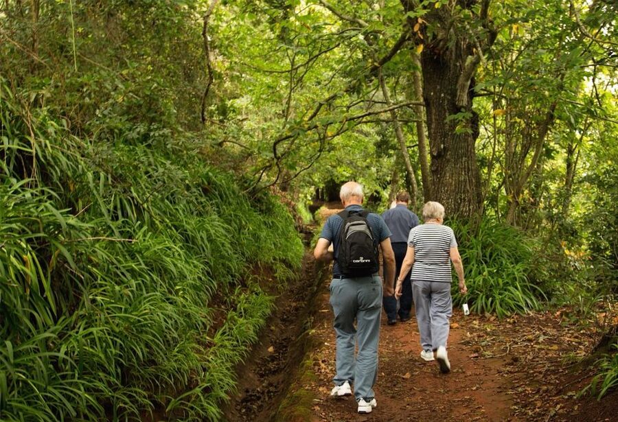 Madeira: Mini-Combo East Challenge: Jeep Safari + Levada - Price and Value Around $55 Per Person