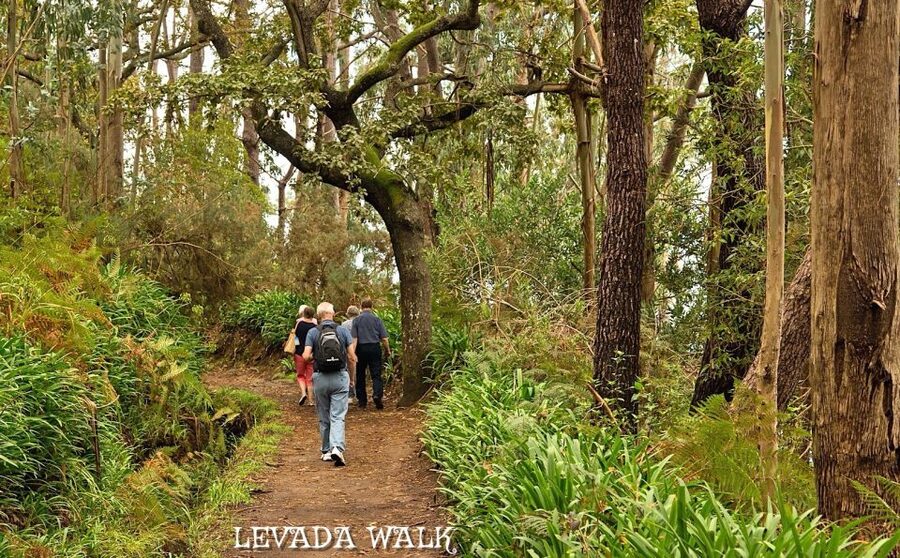 Madeira: Mini-Combo East Challenge: Jeep Safari + Levada - Guide Energy Matters: Jazz and Victor as Examples