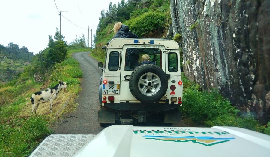 Madeira: Mini-Combo East Challenge: Jeep Safari + Levada - Getting Around Madeira: Why a 4x4 Route From Funchal Helps