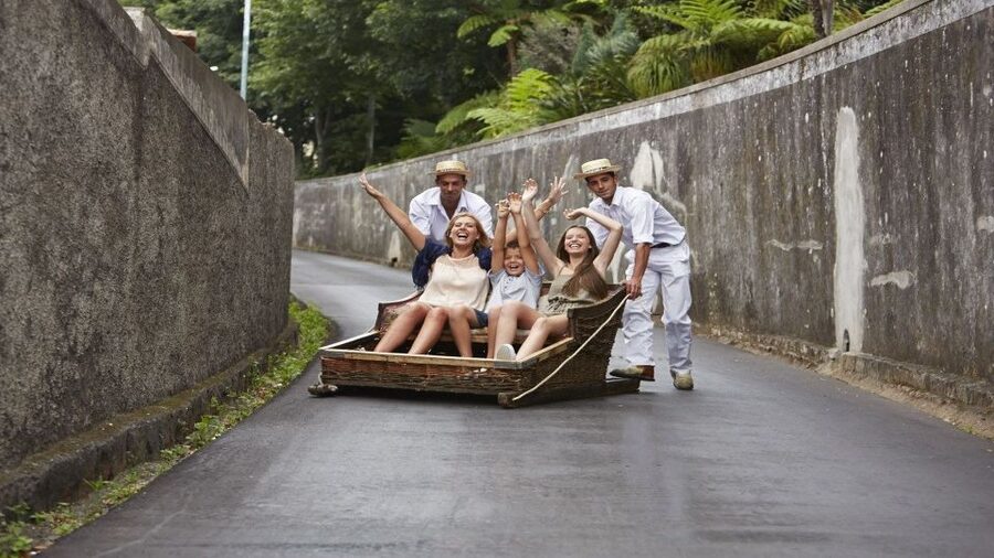 Madeira: Monte Sightseeing Tour & Toboggan Sled Ride - Price and what you really get for $117