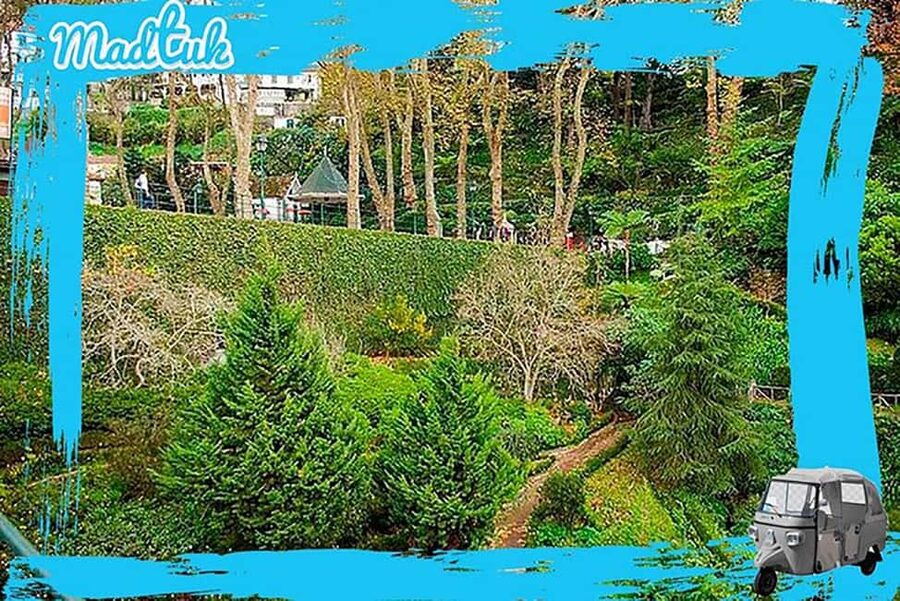 Madeira: Monte Toboggan & Old Town Guided Tuk Tour by MadTuk - Tuk-tuk to Monte, then toboggans down: how the day really flows