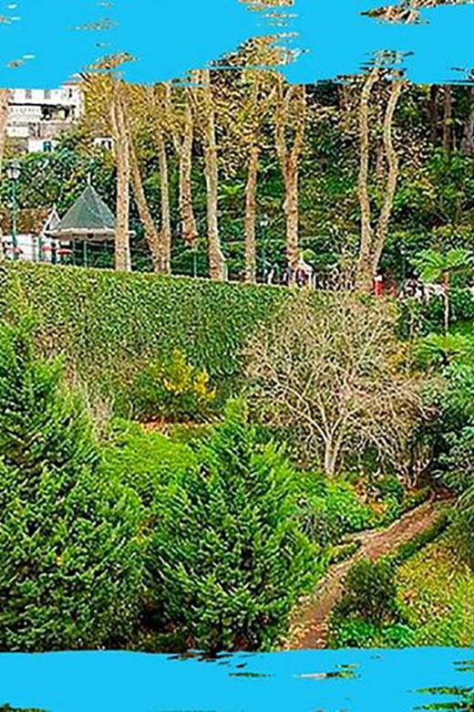 Madeira: Monte Toboggan & Old Town Guided Tuk Tour by MadTuk - Should you book this MadTuk Monte Toboggan and Old Town tuk tour?