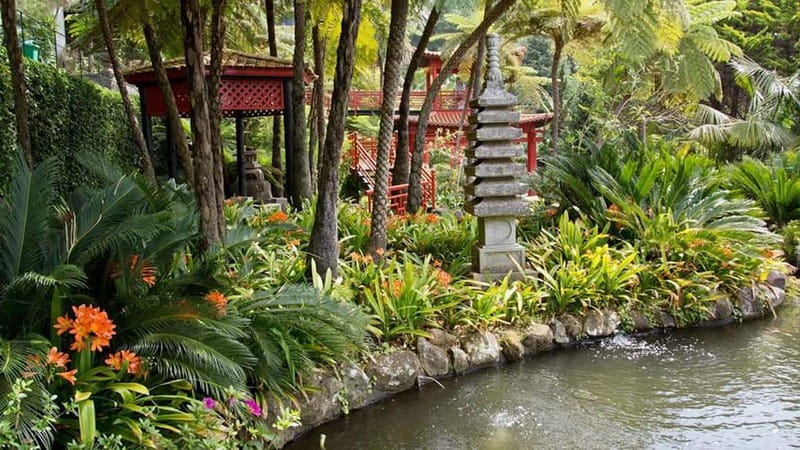 Madeira: Monte Tropical Garden + Old Town Tuk Tour by MadTuk - Key things I’d circle before you book