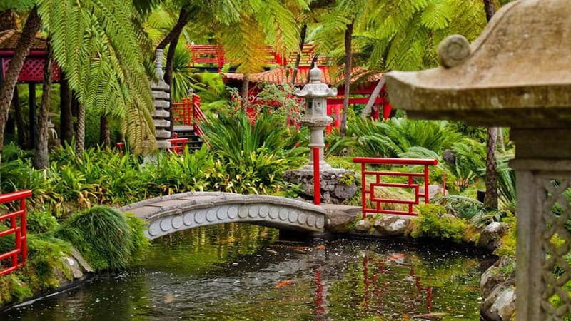 Madeira: Monte Tropical Garden + Old Town Tuk Tour by MadTuk - Funchal Old Town flavor and a quick Farmers Market stop