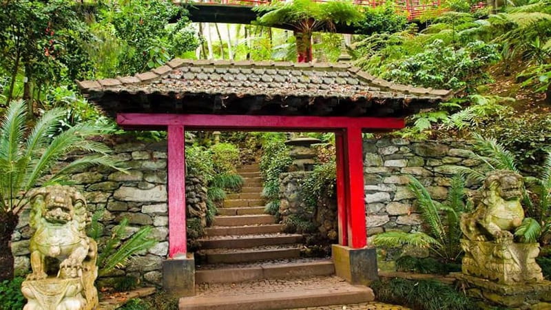Madeira: Monte Tropical Garden + Old Town Tuk Tour by MadTuk - Price and value: what $56 gets you, and what you pay separately