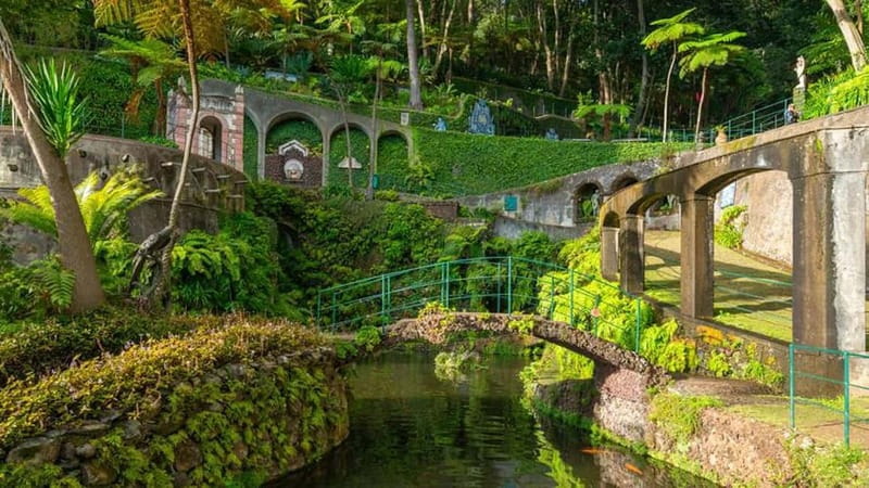 Madeira: Monte Tropical Garden + Old Town Tuk Tour by MadTuk - Guides on the mic: why the driver quality matters here