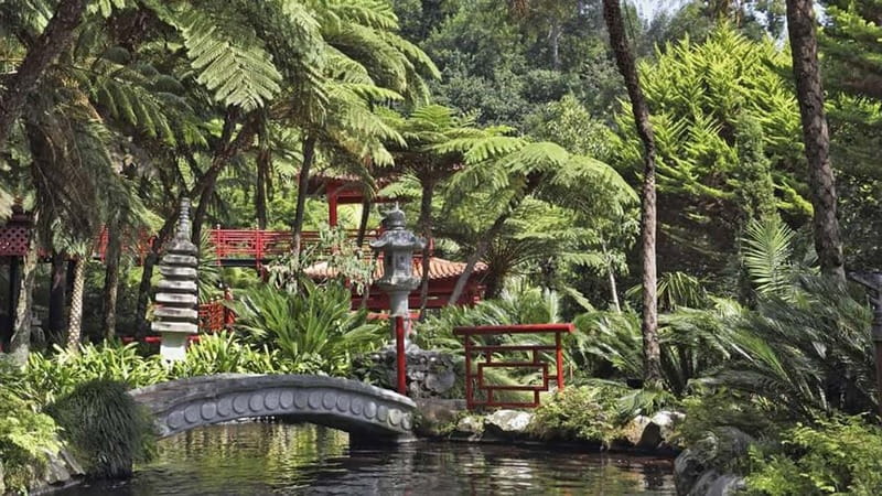 Madeira: Monte Tropical Garden + Old Town Tuk Tour by MadTuk - Jardim Tropical do Monte, the plant-lover route you will remember