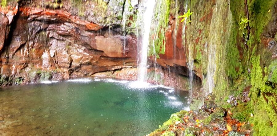 Madeira: Mountain Walk with Lagoon and Waterfalls - Why the Levada das 25 Fontes lagoon is the star