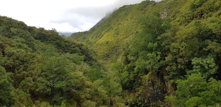 Madeira: Mountain Walk with Lagoon and Waterfalls - What to bring for a comfy, safe day on a levada walk