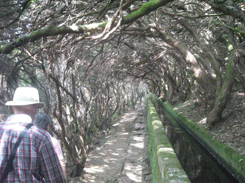 Madeira: Mountain Walk with Lagoon and Waterfalls - Price and value: is $55 worth it?