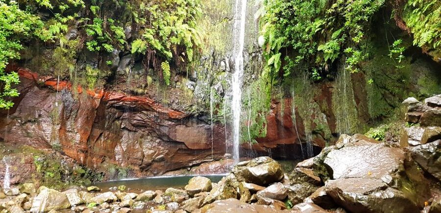 Madeira: Mountain Walk with Lagoon and Waterfalls - Should you book this tour, or plan it yourself?