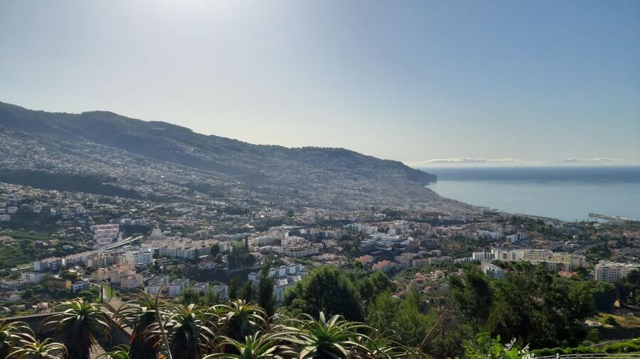 Madeira: Nun's Valley Private Tour - From Cruise Pier to Pico dos Barcelos, 335 Meters Up