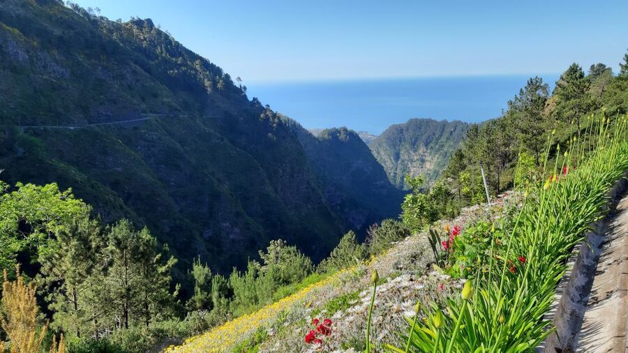 Madeira: Nun's Valley Private Tour - Private Tour Value: What You Get for $200 Up to Two People
