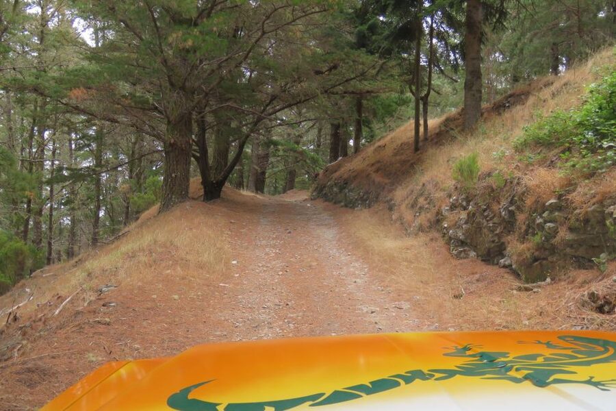 Madeira : Nun's Valleys and Pico Areeiro 4X4 Tour - Should you book Nun’s Valleys and Pico Areeiro by 4X4?