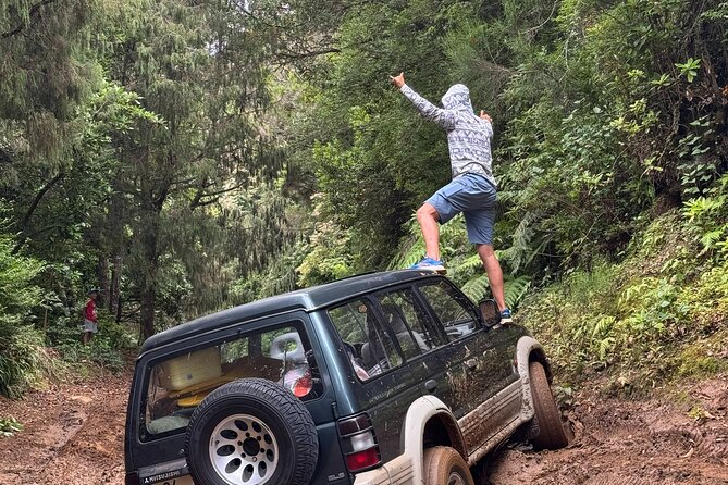 Madeira Off-Road 4x4 Jeep Adventure Private Full day Tour - Key highlights you should care about