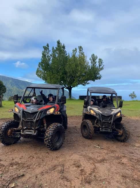 Madeira: Off-Road Buggy Driving Experience - Key Takeaways Before You Book