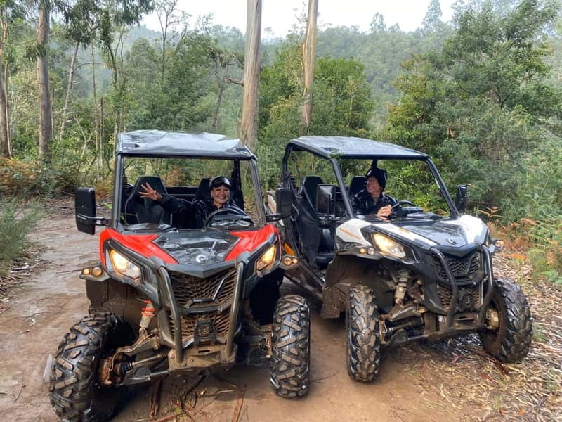 Madeira: Off-Road Buggy Driving Experience - Should You Book This Madeira Double Buggy Experience?