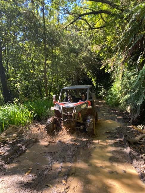 Madeira: Off-Road Buggy Driving Experience - Why the Laurisilva Forest Turns This Buggy Tour Into the Main Event
