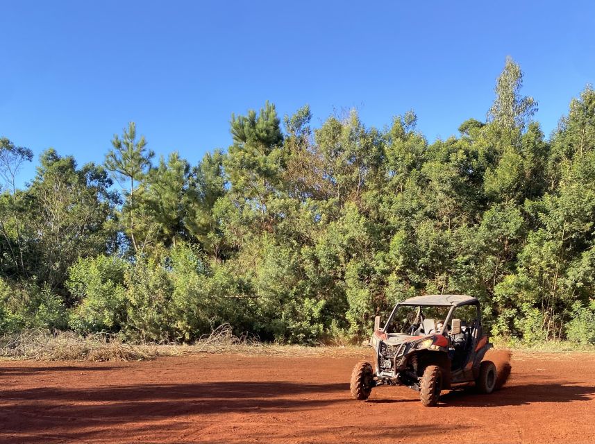 Madeira: Off-Road Buggy Driving Experience - What Stops Feel Like on the Ground: Viewpoints and Forest Moments