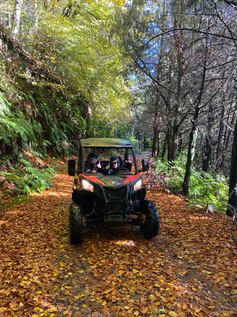 Madeira: Off-Road Buggy Driving Experience - Price and Value: Why $176 Per Group Makes Sense Here