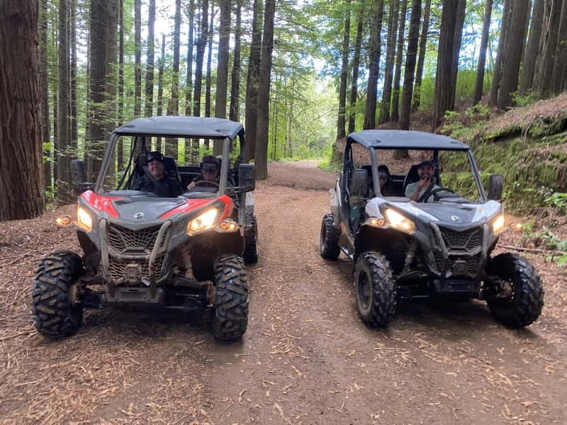 Madeira: Off-Road Buggy Driving Experience - Getting Ready: What You Really Need to Drive a Double Buggy