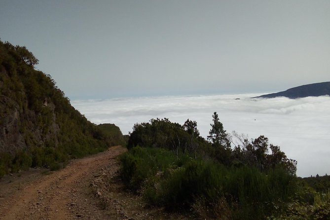 Madeira Off-Road Tours - Stop 1: Santana, Pico do Areeiro at 1818m, and UNESCO Laurissilva