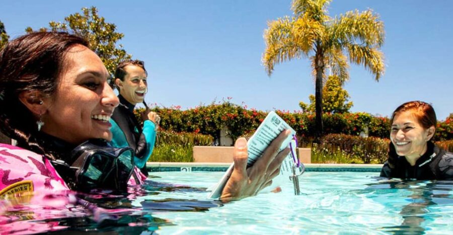 Madeira: Open Water Diver First Certification Course - Key Things I’d Watch For Before You Book