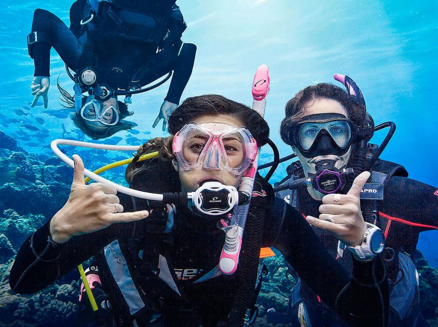 Madeira: Open Water Diver First Certification Course - Who This Course Suits, and Who Should Pass