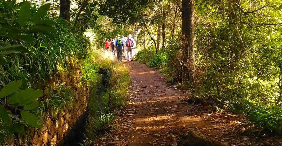 Madeira: Paradise Valley Levada Walk - Why this “Paradise Valley” Levada walk feels special