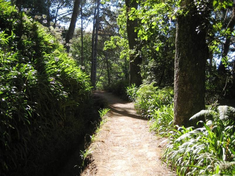 Madeira: Paradise Valley Levada Walk - Walking the Levada Da Serra do Faial: forests, gardens, and water channels