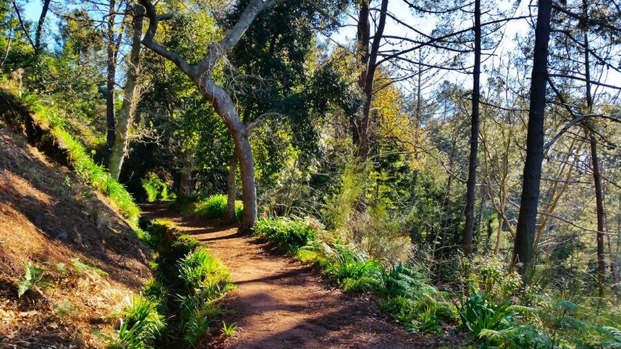 Madeira: Paradise Valley Levada Walk - The cafe stop: your halfway break without the pressure of lunch