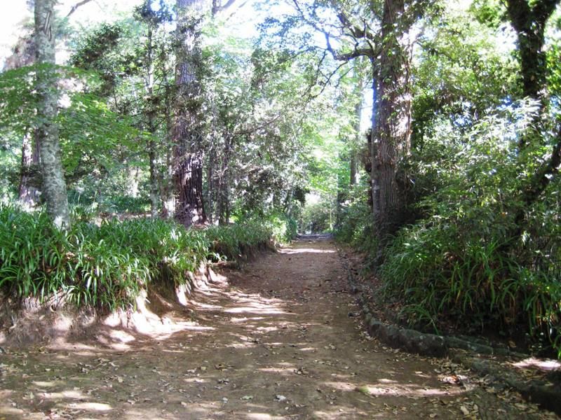 Madeira: Paradise Valley Levada Walk - Pace, trail feel, and what to wear in Madeira’s cooler Paradise Valley