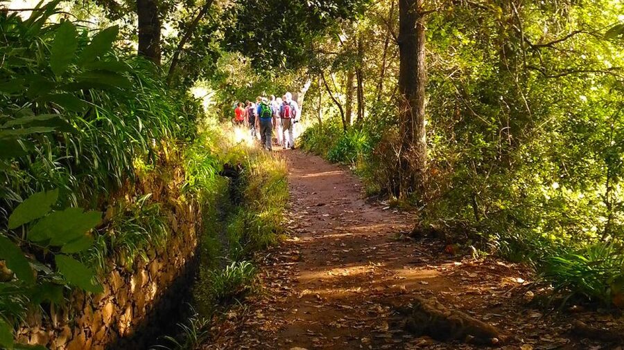 Madeira: Paradise Valley Levada Walk - From your hotel to Vale do Paraíso, without unnecessary fuss