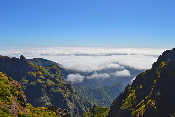Madeira Peaks - Mountain Walk - The heather forest near Vereda do Pico Ruivo: where the hike gets quiet