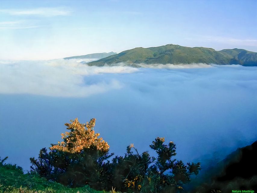 Madeira: Pico Arieiro to Pico Ruivo Hike - Key things that make this hike worth your time