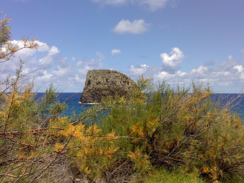 Madeira: Pico do Arieiro & Laurissilva Forest - East tour - Key Highlights You Should Care About