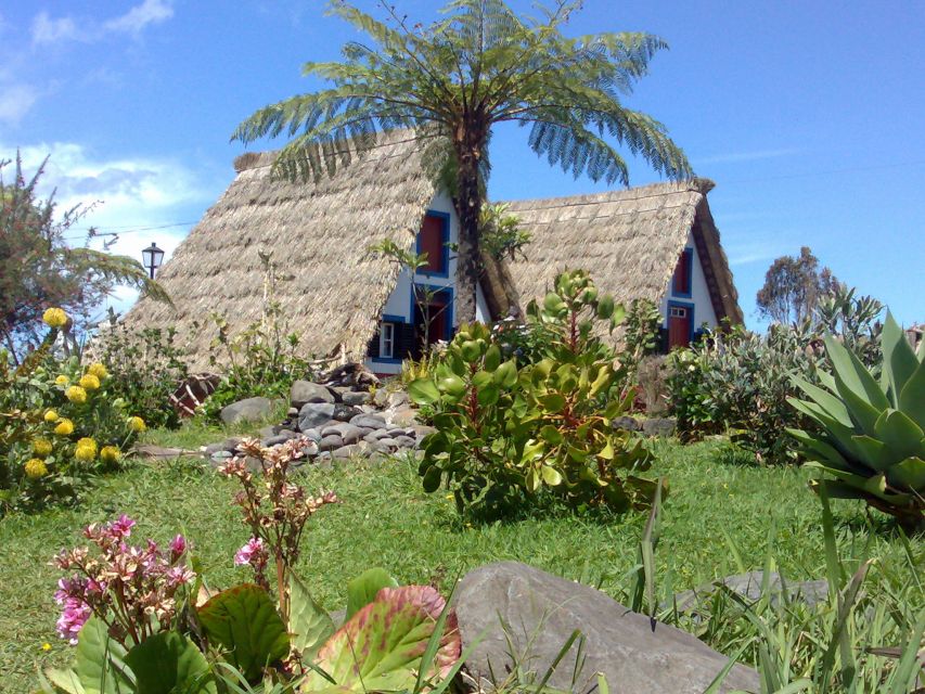 Madeira: Pico do Arieiro & Laurissilva Forest - East tour - A Smart Use of 8 Hours: You Get the East Coast Big Hits
