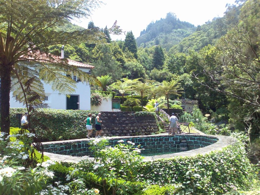 Madeira: Pico do Arieiro & Laurissilva Forest - East tour - Santana A-Frame Houses: The Island’s Ingenious “Triangle Home”