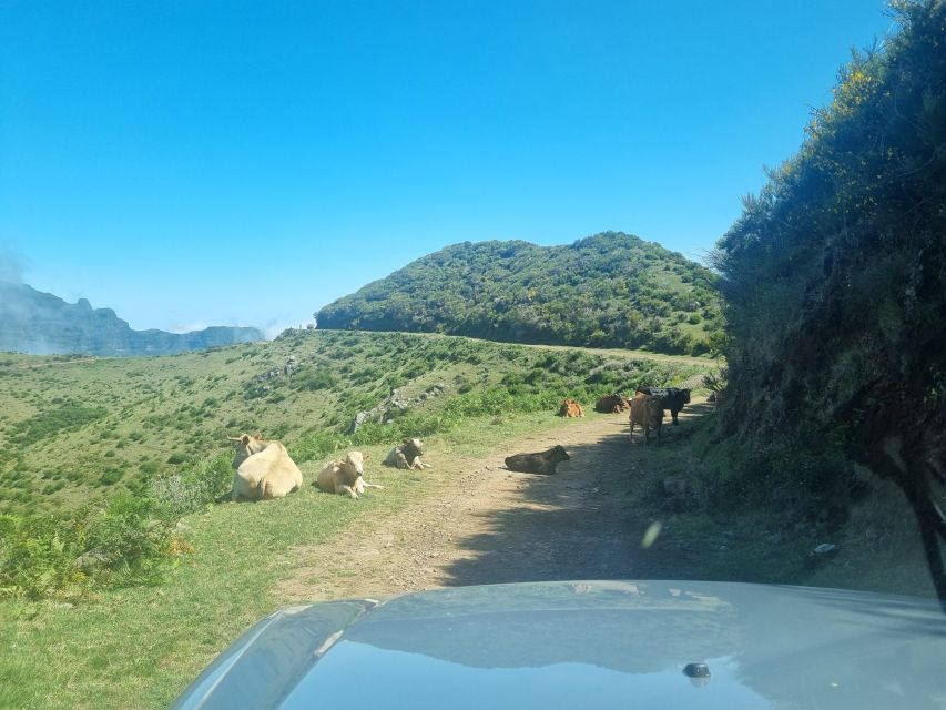 Madeira: Picturesque Peaks and Skywalk private 4x4 Jeep tour - Key things to know before you go