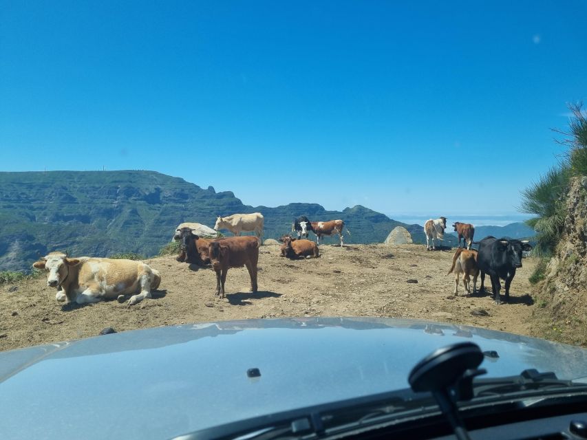 Madeira: Picturesque Peaks and Skywalk private 4x4 Jeep tour - Boca dos Namorados over the Nuns Valley: big height, clear payoff