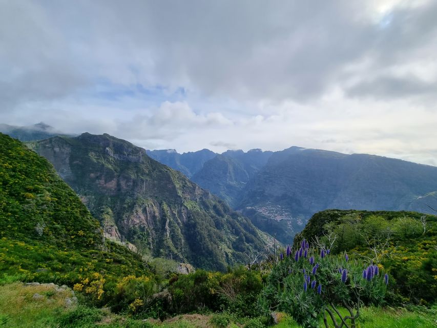 Madeira: Picturesque Peaks and Skywalk private 4x4 Jeep tour - Why a private guide like Edgar makes the difference