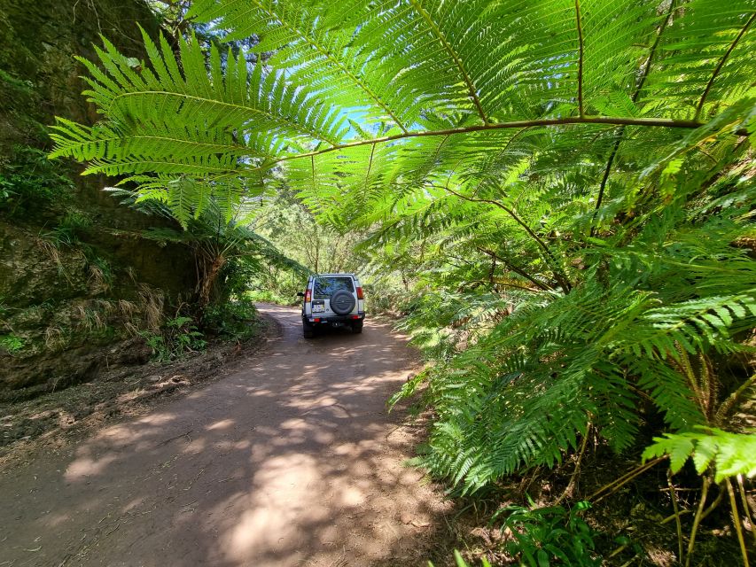 Madeira: Picturesque Peaks and Skywalk private 4x4 Jeep tour - Timing and route logic: why the order works
