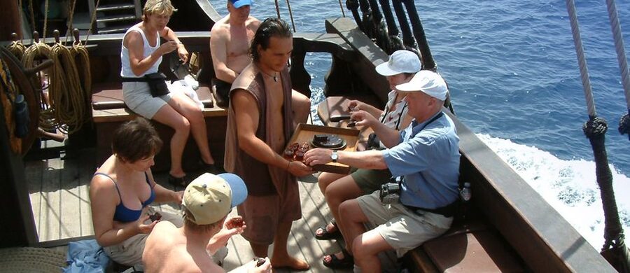 Madeira Pirate Ship: 3-Hour Boat Trip - Dolphins and whales: how to spot them without losing the fun